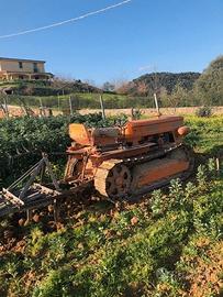 Trattore cingolato fiat 355 montagna