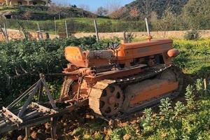 Trattore cingolato fiat 355 montagna