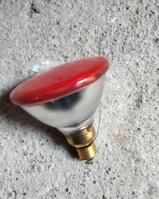 Lampadina