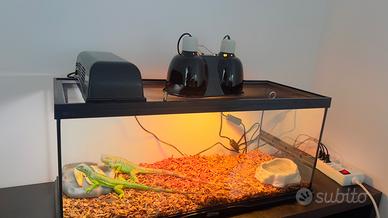 Terrario/paludarium zoomed