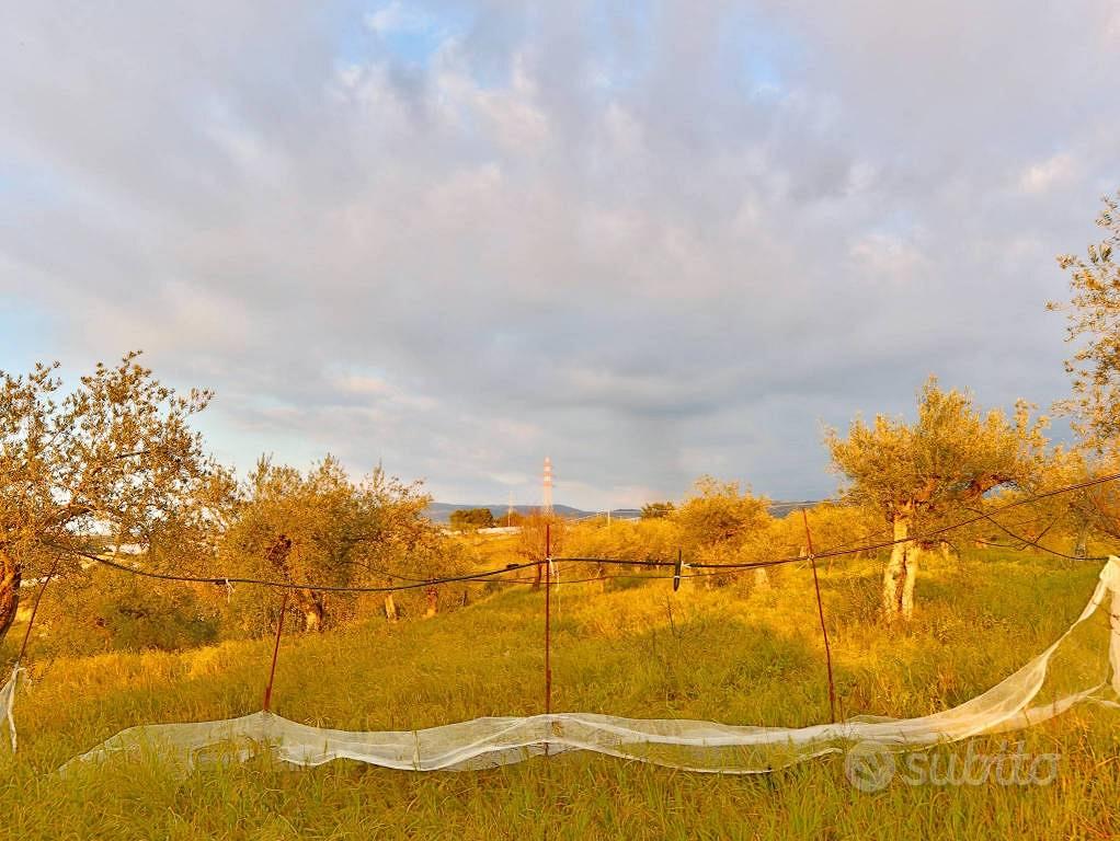 Casa – Chiaramonte Gulfi, Gerardo - Vista 5