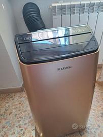 Condizionatore deumidificatore consegna a mano