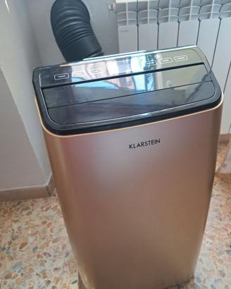 Condizionatore deumidificatore consegna a mano