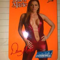 Dawn Marie – WWE SmackDown Raw 2004 n.49/132 – Ott