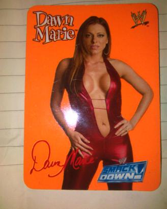 Dawn Marie – WWE SmackDown Raw 2004 n.49/132 – Ott