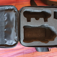 Dji borsa air 2s
