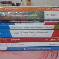 libri scolastici  primo anno  liceo 