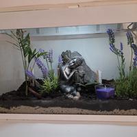 Terrario/Giardino Zen