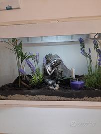Terrario/Giardino Zen