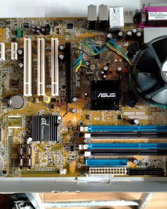 Scheda madre Asus