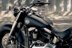 Harley softail slim  (103)  8000 km  DIMOSTRABILI