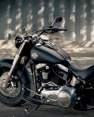 Harley softail slim  (103) 2012- soli 8000 km