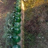 Damigiane in vetro  da 5 litri