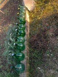 Damigiane in vetro  da 5 litri