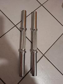 Coppia bilanceri per pesi