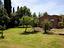 Immagine 19