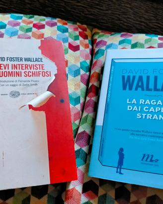 Set di 2 libri di David Foster Wallace