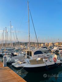 Barca walkaround 24 piedi