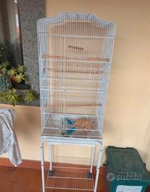 gabbia%20uccelli