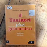 Il Tantucci plus grammatica