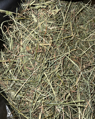 Fieno naturale per conigliettii