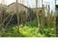 Immagine 7