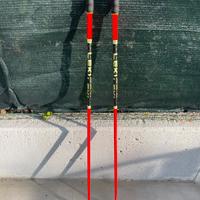 bastoncini da sci da Discesa h 115