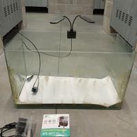 Acquario con accessori