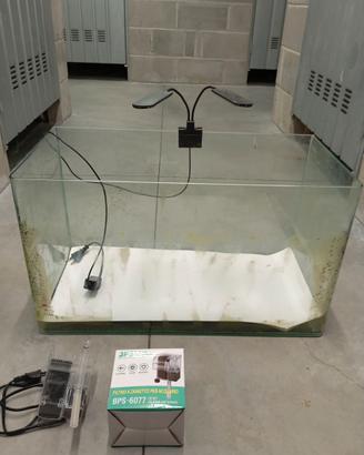 Acquario con accessori