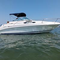 Cabinato Sea Ray 240