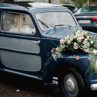 Topolino giardinetta