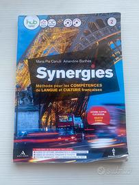 Libro SYNERGIES 2
