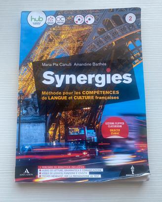 Libro SYNERGIES 2