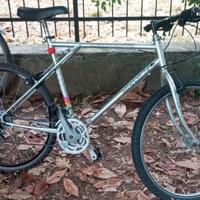 Mountain bike Eagle 26"