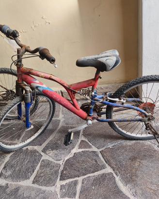 Bici da sistemare 