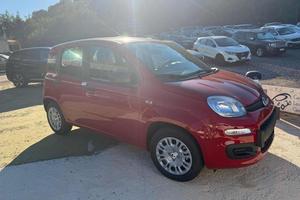 FIAT Panda 1.0 FireFly S&S Hybrid Icon