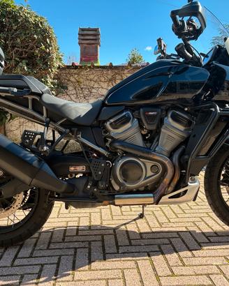 Harley Davidson Panamerica