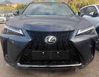 Lexus UX 300 HF DESIGN HYBRID 2WD