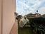 Immagine 24