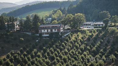 Villa bifamiliare