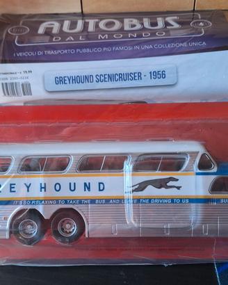 autobus GREYHOUND