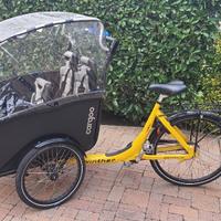 Winther Cargo Bike completa di accessori