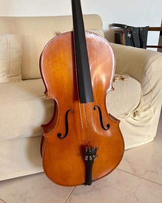 Violoncello 4/4 da studio