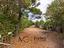 Immagine 29