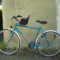 Bicicletta da uomo