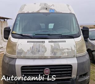 Fiat Ducato 2014 trasporto disabili