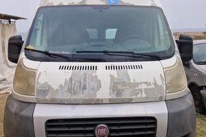 Fiat Ducato 2014 trasporto disabili