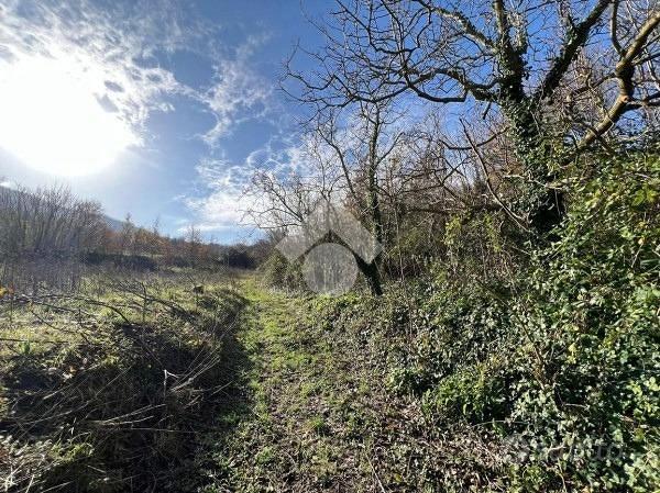 TERRENO A POLLENA TROCCHIA - Vista 4