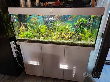 acquario