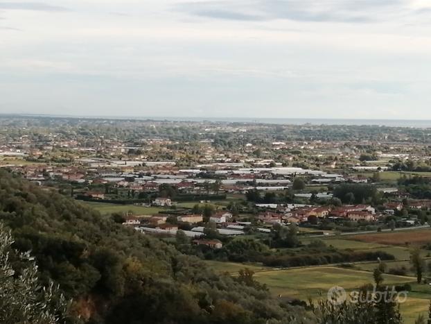 Terreno agricolo ad uliveto